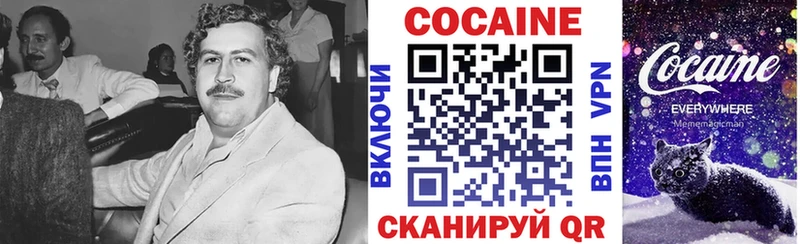 COCAIN Fish Scale  Купить закладки  Нарьян-Мар 