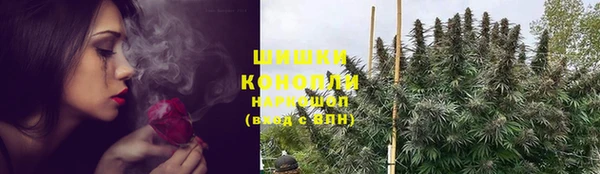 сатива Навашино