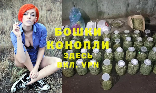 ПСИЛОЦИБИНОВЫЕ ГРИБЫ Надым