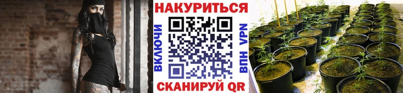 Купить закладки  Нарьян-Мар  Конопля OG Kush 
